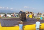 Obrázek atrakce Rodeo bizon