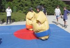 Obrázek atrakce Sumo ring